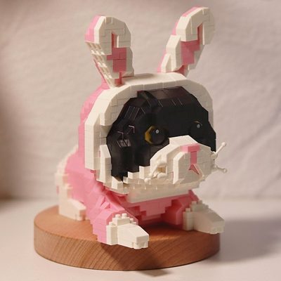 Balody 16405 Animal World Persian Cat Kitten Rabbit Clothing Pet DIY Mini Diamond Blocks Bricks Building 5 - LOZ MALL