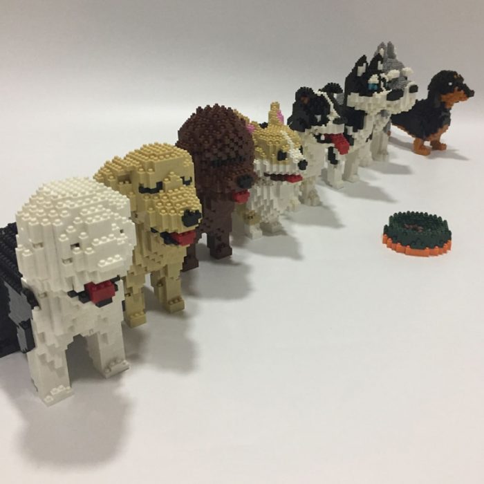 PZX Schnauzer Dachshund Husky Collie Sheepdog Corgi Teddy Dog Pet Animal DIY Mini Diamond Blocks Bricks 3 - LOZ MALL